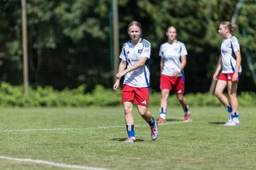 Bild 317 - wBJ Hamburger SV - VfL Wolfsburg : Ergebnis: 5:1
